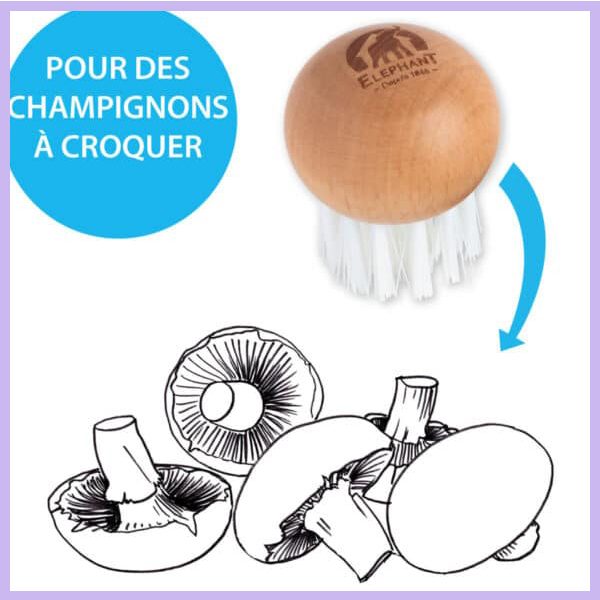 Brosse champignons Origine Elephant