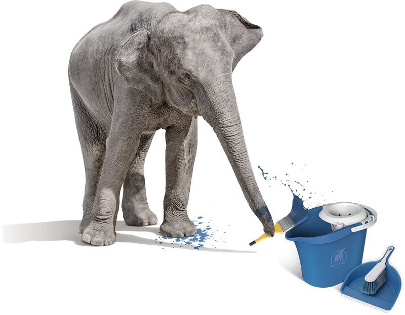 Éléphant avec peinture bleue