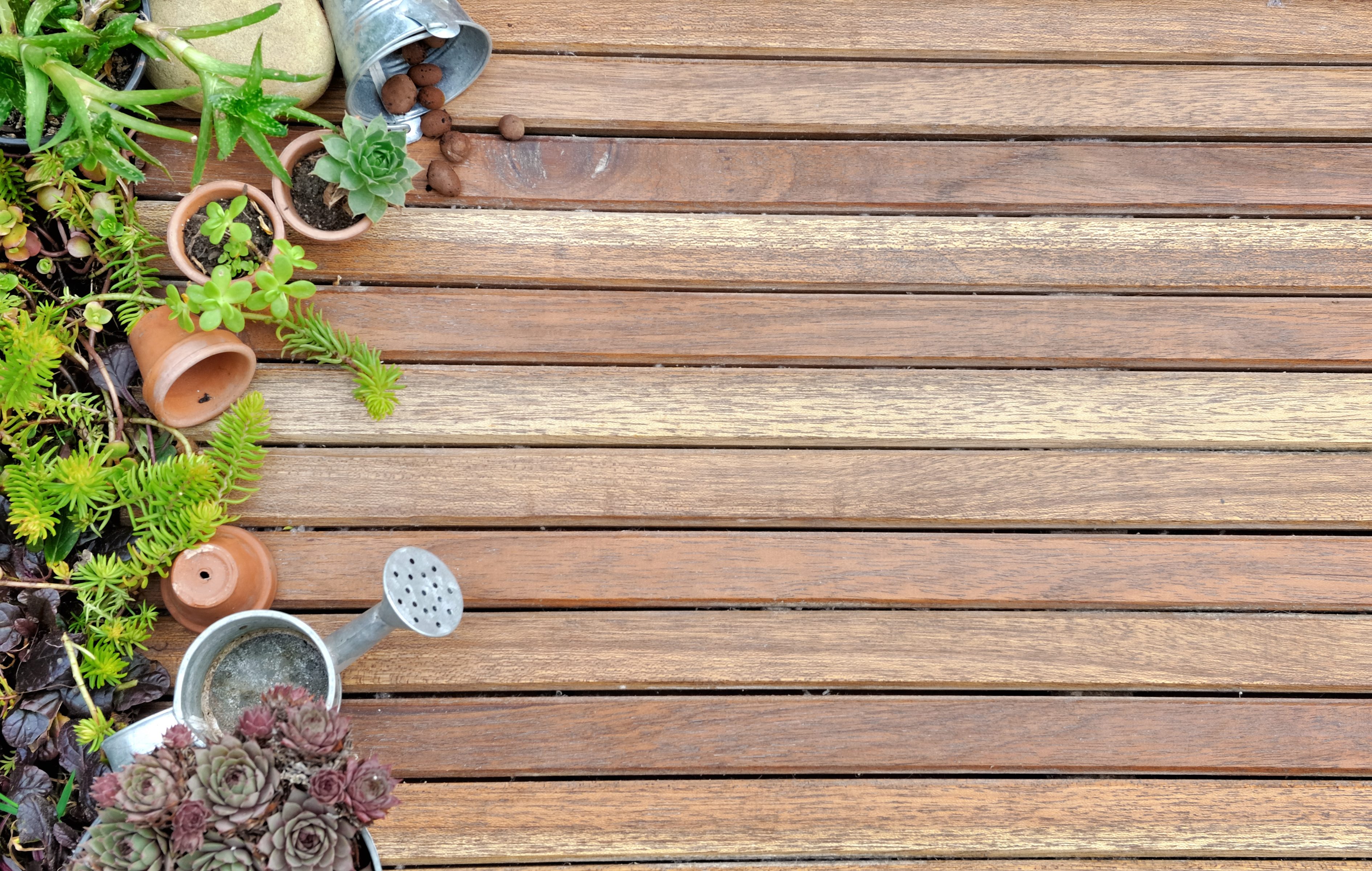 Quelques astuces pour éviter que votre terrasse bois glisse - Petite Maison  Bois