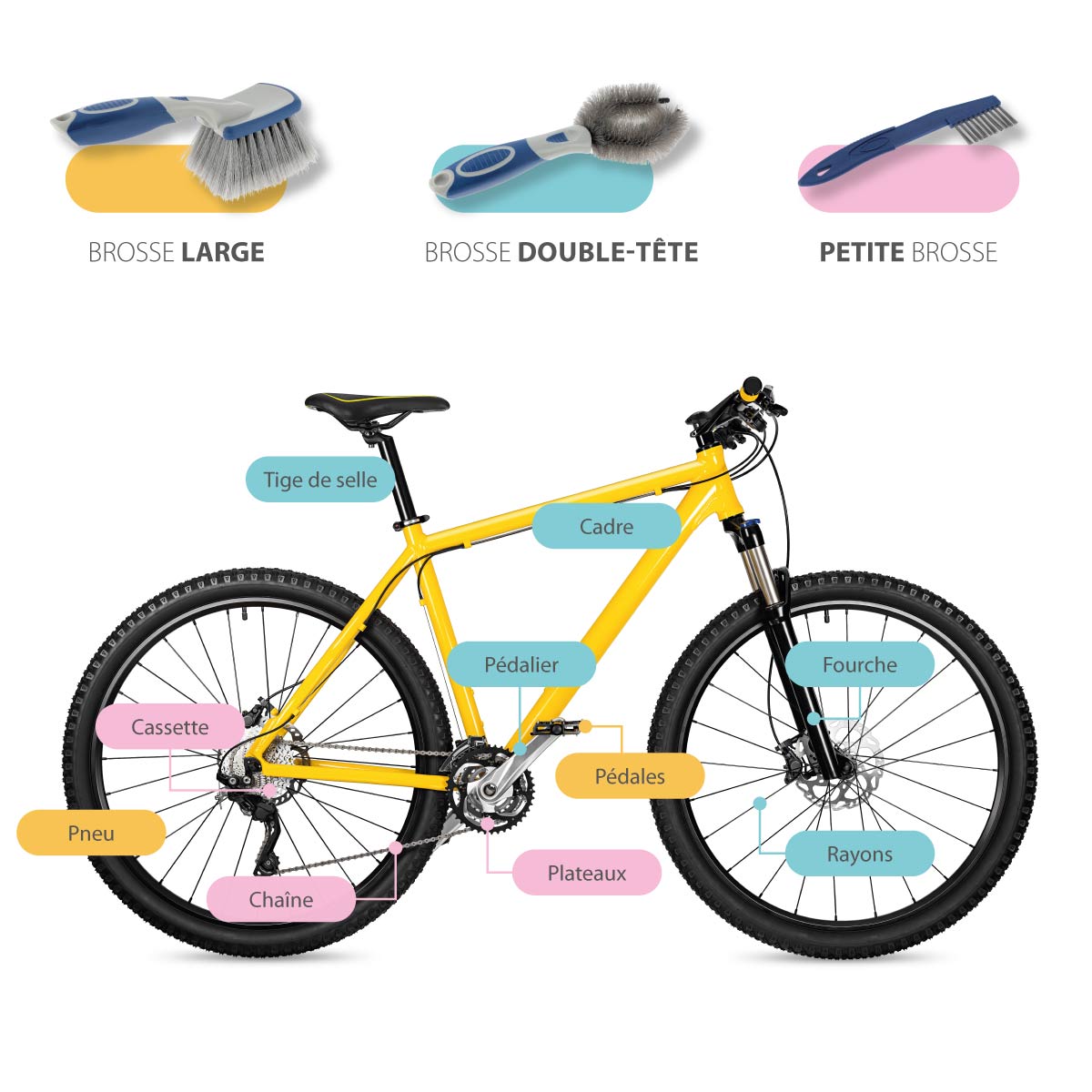 Kit de nettoyage vélo — Brosse, Brosse à laver, Les Petites Brosses  Spécifiques — Éléphant Maison