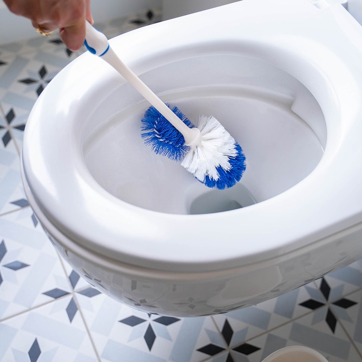 Balayette WC Sanitized® Eléphant Maison