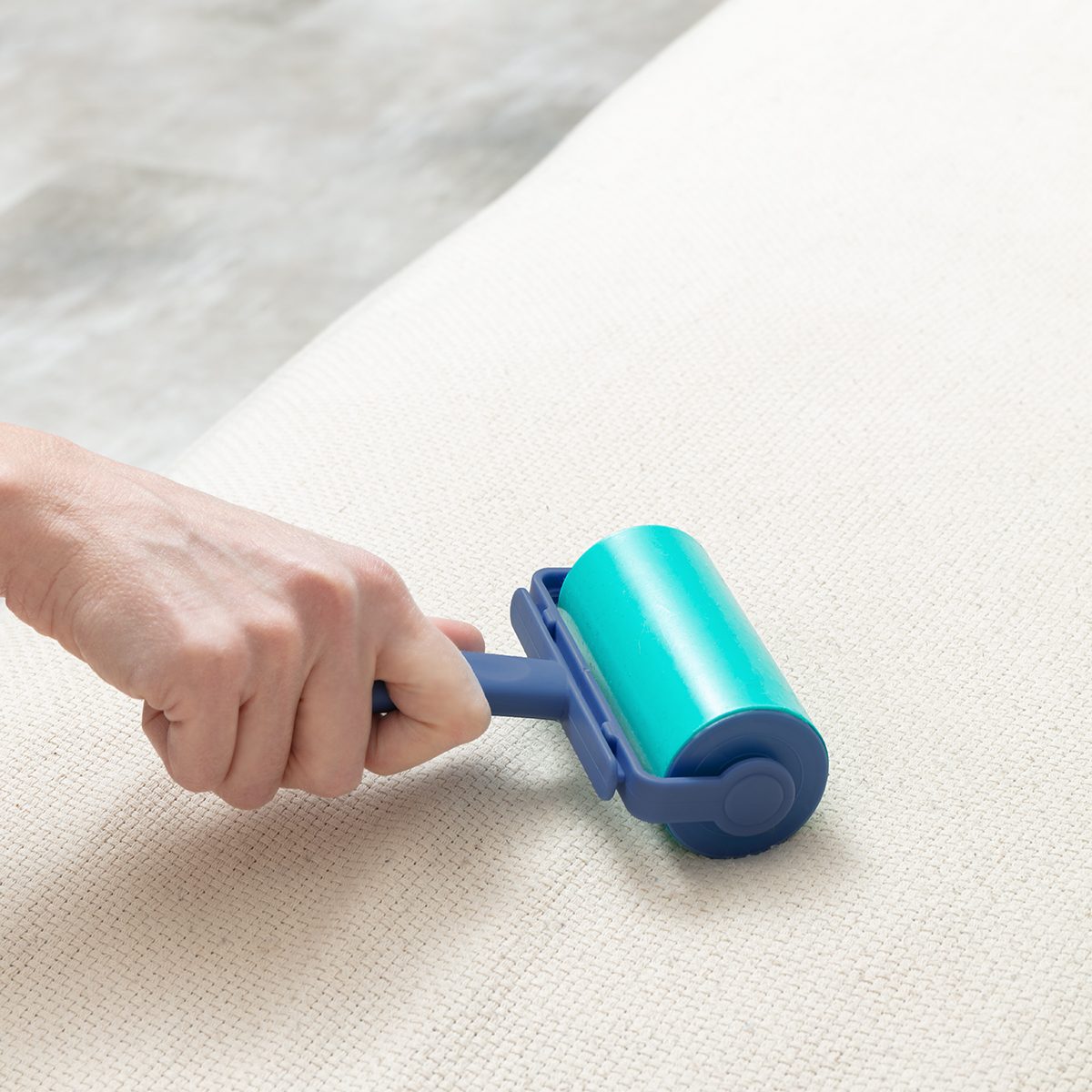 Brosse adhésive lavable