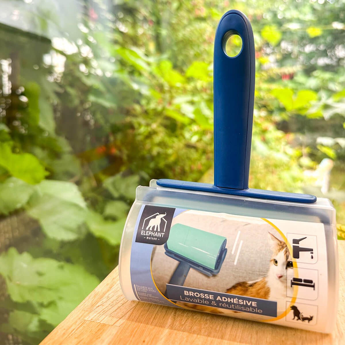 Brosse adhésive lavable