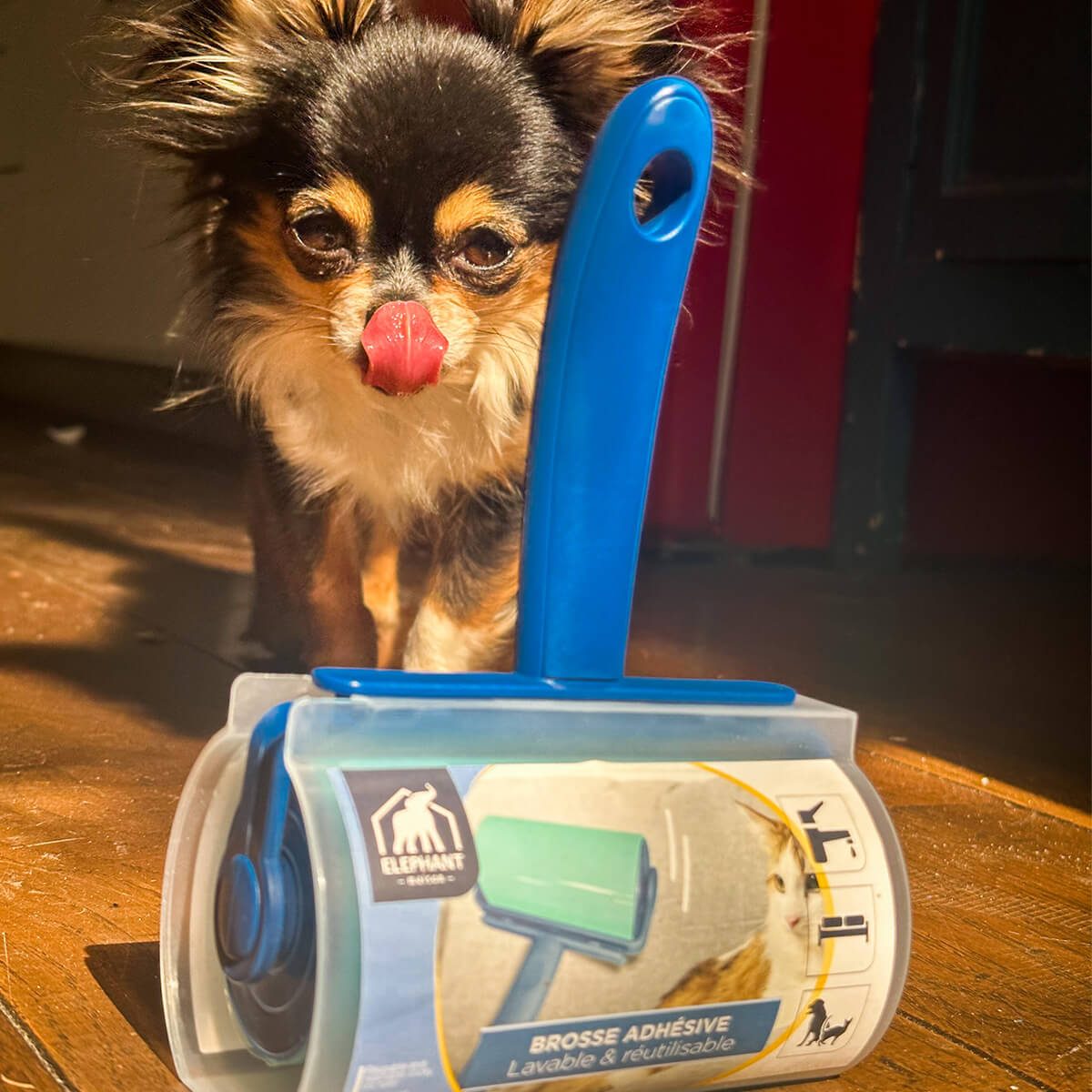 Brosse adhésive lavable