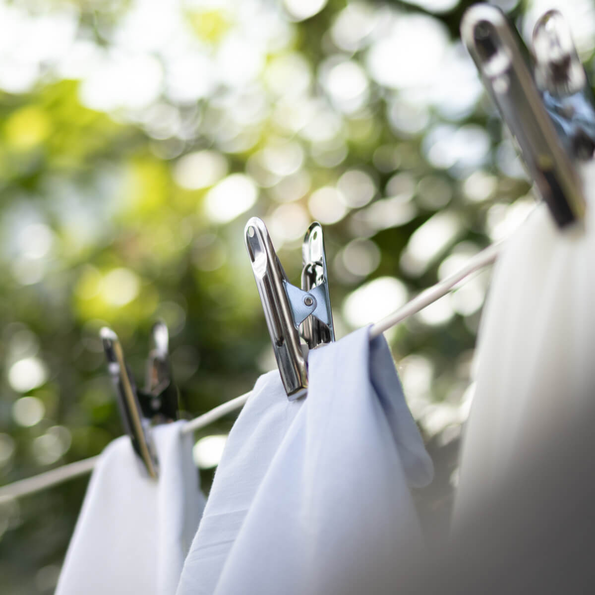 Pinces à linge inox x16